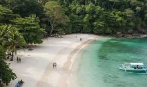 Inilah Mengapa Air Laut di Green Bay Banyuwangi Berwarna Hijau